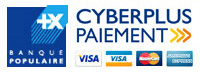 Cyberplus Paiement