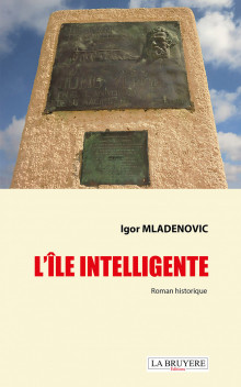 L’ÎLE INTELLIGENTE