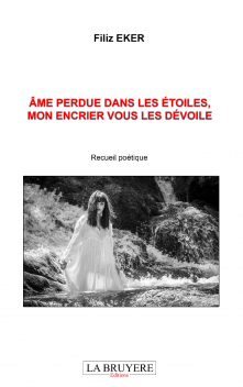 ÂME PERDUE DANS LES ÉTOILES, MON ENCRIER VOUS LES DÉVOILE