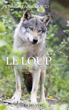 LE LOUP ET L’HOMME DÉSESPÉRÉ !