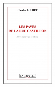 LES PAVÉS DE LA RUE CASTILLON